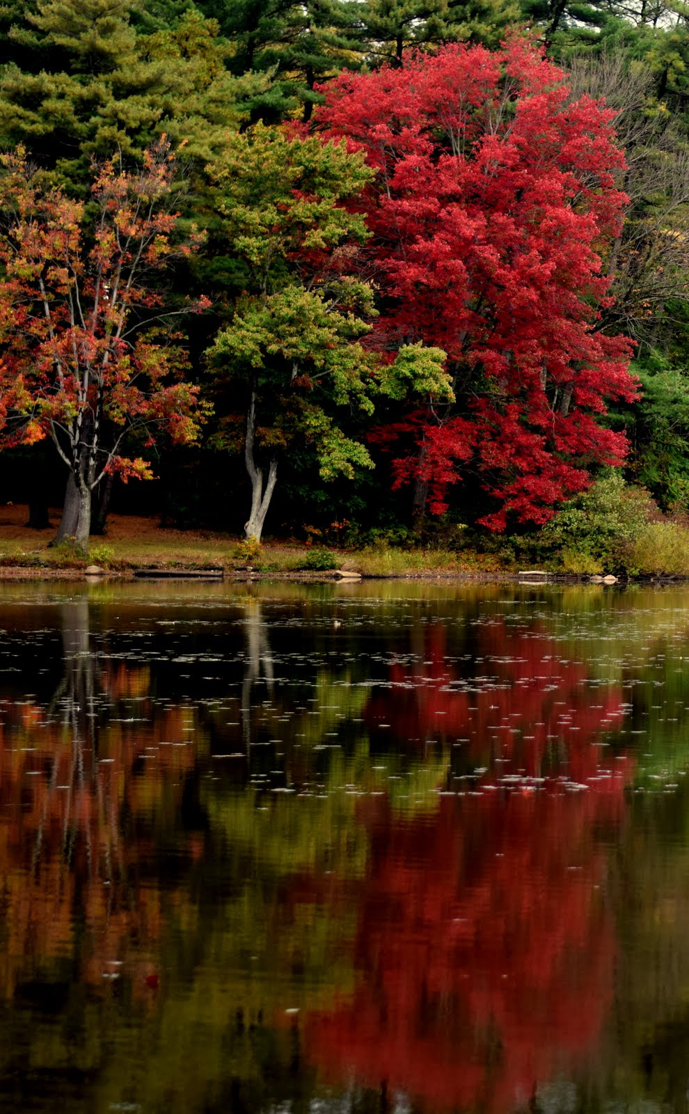 Grand proze photo by Lynne McGovern.