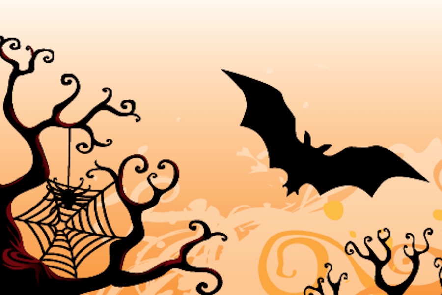 A spider web bat illustration.